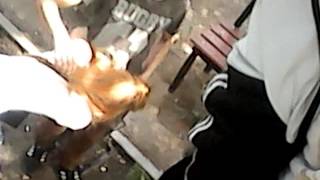 Секс порно жесть видео 185