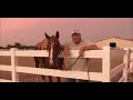 Paint Horses