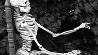 Watch Skull Bones Rise video