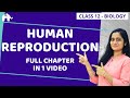 Human Reproduction Class 12 | NCERT Chapter 3| One Shot | CBSE NEET