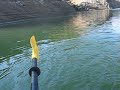 005.AVIShasta Lake Trout From Kayak 11/09