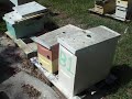 Treating wood,Part2 Beekeeping beehive box rot prevent,Beekeepers beehives