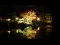 大仙公園(堺市) 日本庭園 紅葉ライトアップ