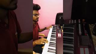 Geluputalupule Veena Cover On Keyboard