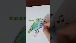 Haydi Boyama Zamanı