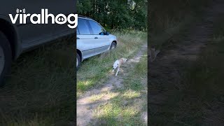 Full Snoot In The Toot Viralhog