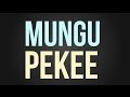Nyashinski - Mungu Pekee (Official Lyric Video)