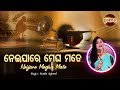 Nei Ja Re Megha Mate De Chhadi Sei Dese- Evergreen Film Song | Namita Agrawal | ନେଇଯାରେ | Puni Thare