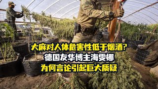 德国博主发微博对比大麻烟酒危害性，为何引起争议？