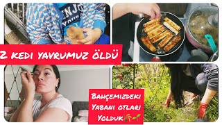 Öncesi̇ Sonrasii̇stek Makyajimbahçe Temi̇zli̇ği̇ Beni̇ Nakavt Etti̇30 Dk 5 Çeşi̇tgünlük Vlog