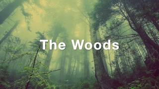 The Woods