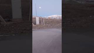Keleş Kurt Takti̇ği̇ Yapiyor