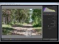 Видеоуроки по Lightroom. (Евгений Карташов) Видеоуроки по Lightroom. (Евгений Карташов)