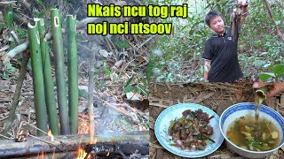 Mus Cuab Noog Da Dej Ua Si 31032021