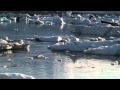 Islandia, Paraiso Natural 2014