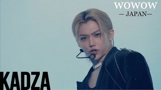 [Русская Озвучка Kadza] Специальный Японский Контент Для Stay От Wowow | Тур Maniac В Японии