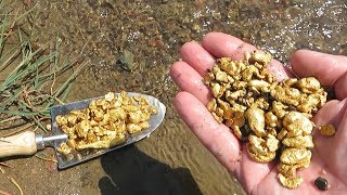Again on this rich river, got the gold! Really so many!!!