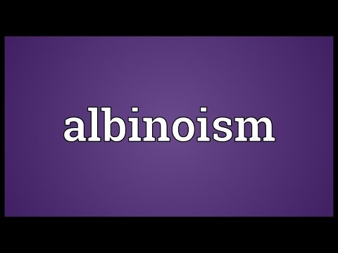 Header of Albinoism