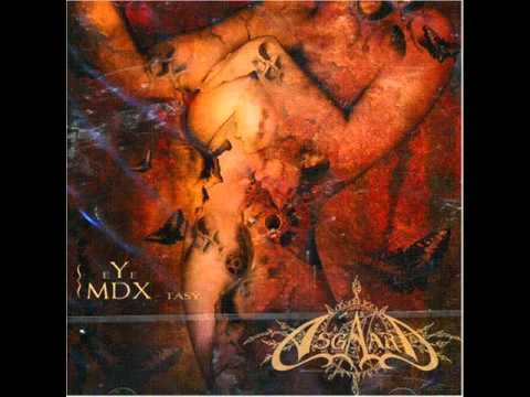 Lunatic Asylum Video