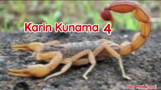 Karin Kunama 4, Labari Mai Cike Da Sarƙaƙiya, Yaudara Da Mugunta