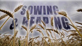 Sowing and Reaping: Part 2 | Letty Kincaid | Faith Fellowship