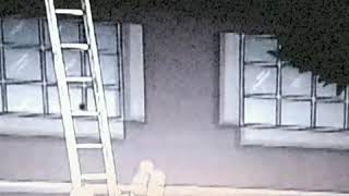 Robot Mesum
