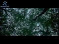 The Gospellers - Towa ni - Video * 永遠に - ゴスペラーズ - ビデオ