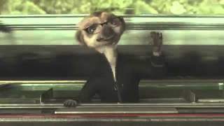 Compare The Meerkat - Advert 34