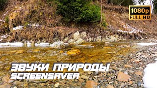 Живая Природа - Река | Звуки Природы | Звуки Реки | Шум Воды | Релаксация | Асмр | Заставка Для Тв