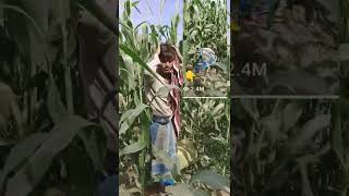 Lulu Mein Aisa To Chura Papa Short