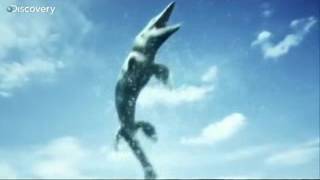 Mosasaur Shark Attack Reign Of The Dinosaurs Xpu6Bxdisaa Wmv V8