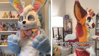 Furry Tiktok Compilation Again