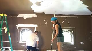Who Paints A Room Brown?