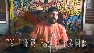 In the Fishtank - Jay Alva