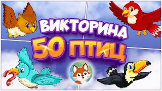 50 Птиц - Большая Викторина Для Детей. 🦜Угадываем Птиц. 🦚