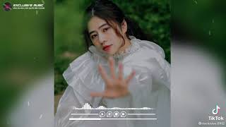 Hot Tik Tok Trái Tim Của Gió Dung Hoàng Phạm Công Thành Remix