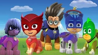 Paw Patrol Transforms Into Pj Masks Finger Family Song - Pj Masks As Paw Patrol Nursery Rhymes 1 1