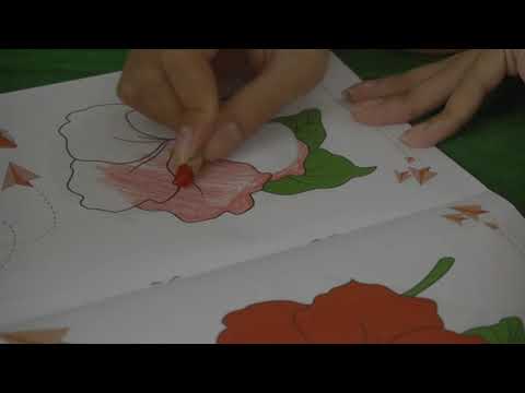 cùng tô màu bức tranh hình bông hoa râm bụt