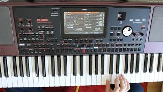 Havar Korg Pa1000 Acılı Arabesk