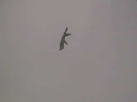 Tags: F22 F/A22 F22-A raptor USAF Fairford air tattoo tail slide Tags: F22 F/A22 F22-A raptor USAF Fairford air tattoo tail slide