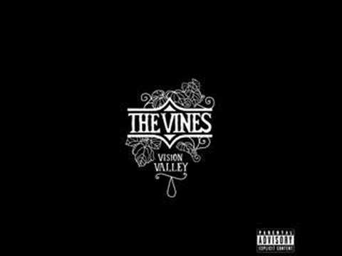 Vision Valley Video