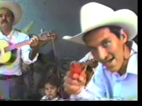 LOS MARINEROS DE TEPALCATEPEC (El enamorado)