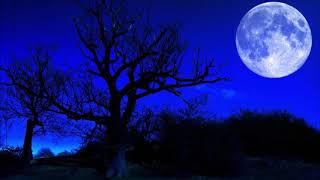 Song Bluemoon - Lamsorz