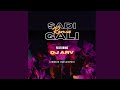 Sadi Gali Bhangra Remix/ DJ ARV Malaysia/ Lehmber Hussainpuri