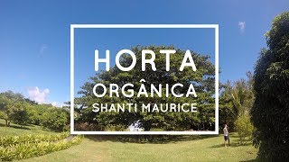 Horta Orgânica em Mauritius (Shanti Maurice) - Casal Natureba