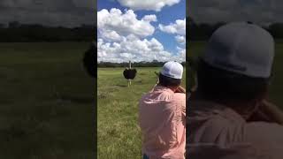 Chicken For Dinner