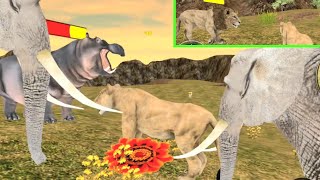 Lion Vs Hippopotamus Hunting 3D Games Played