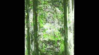 Watch Eyedea Abilities Powdered Water Too Pt 2 video