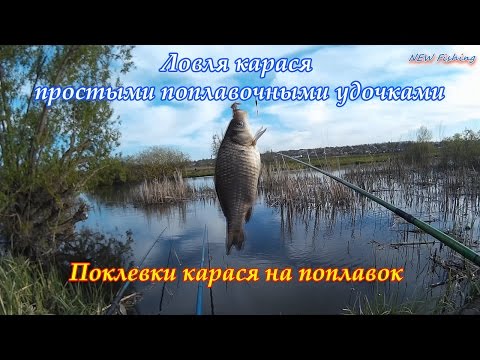 ловля на поплавочную в мае ловля на поплавочную в мае