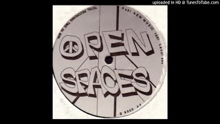 Open Spaces - Artist In Wonderland
